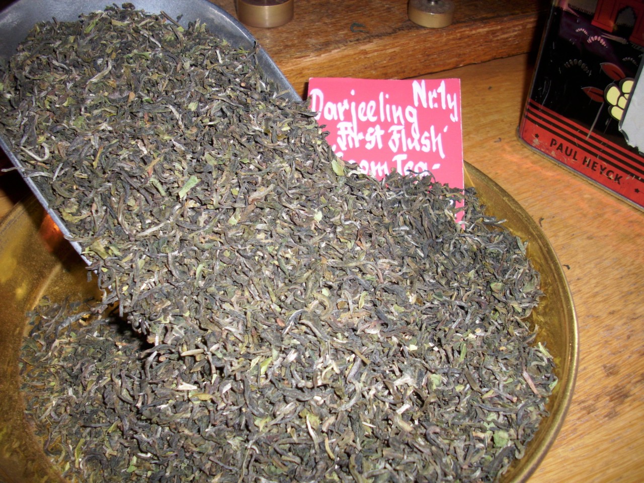 Darjeeling 1y