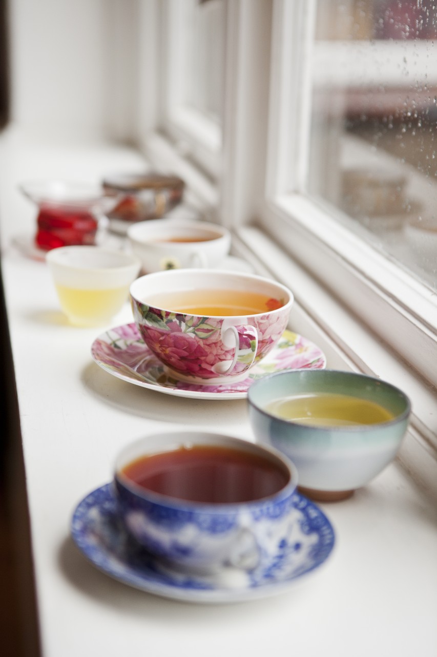 Sencha Kaktusfeige