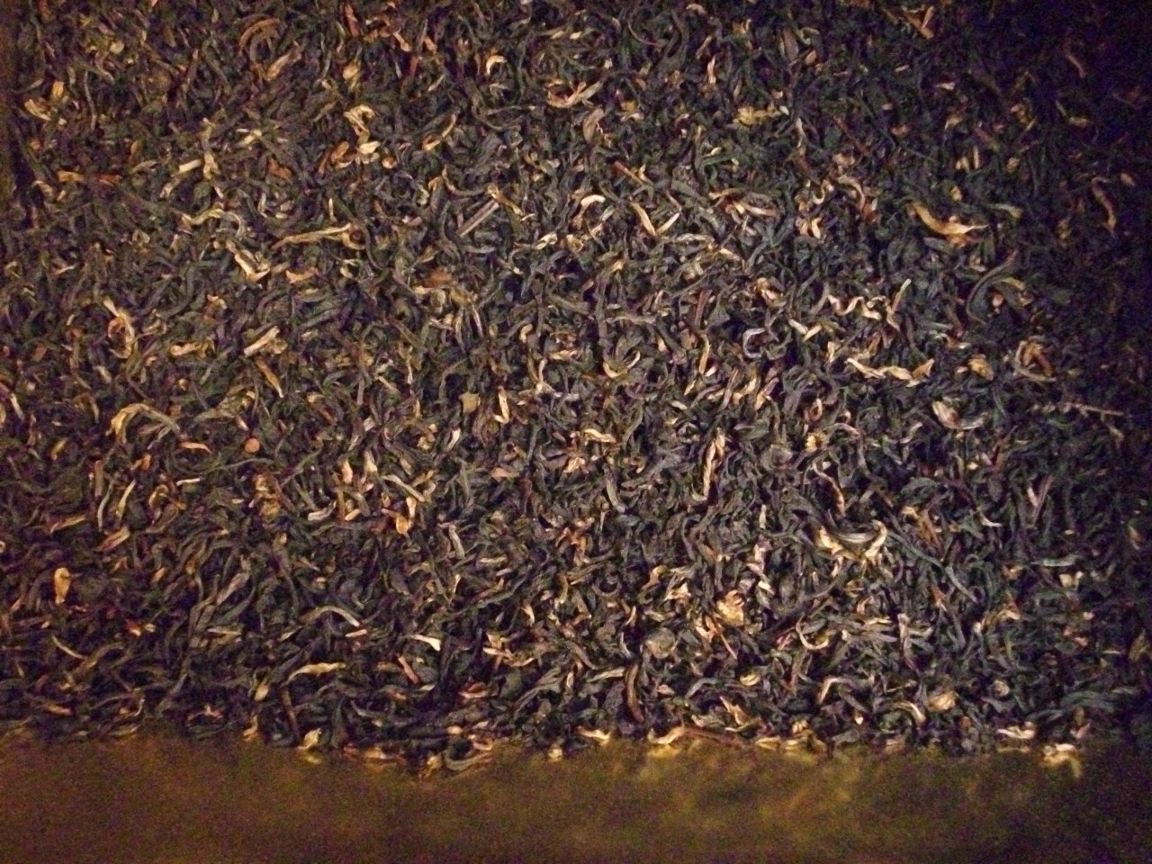 Assam Blatt 2y