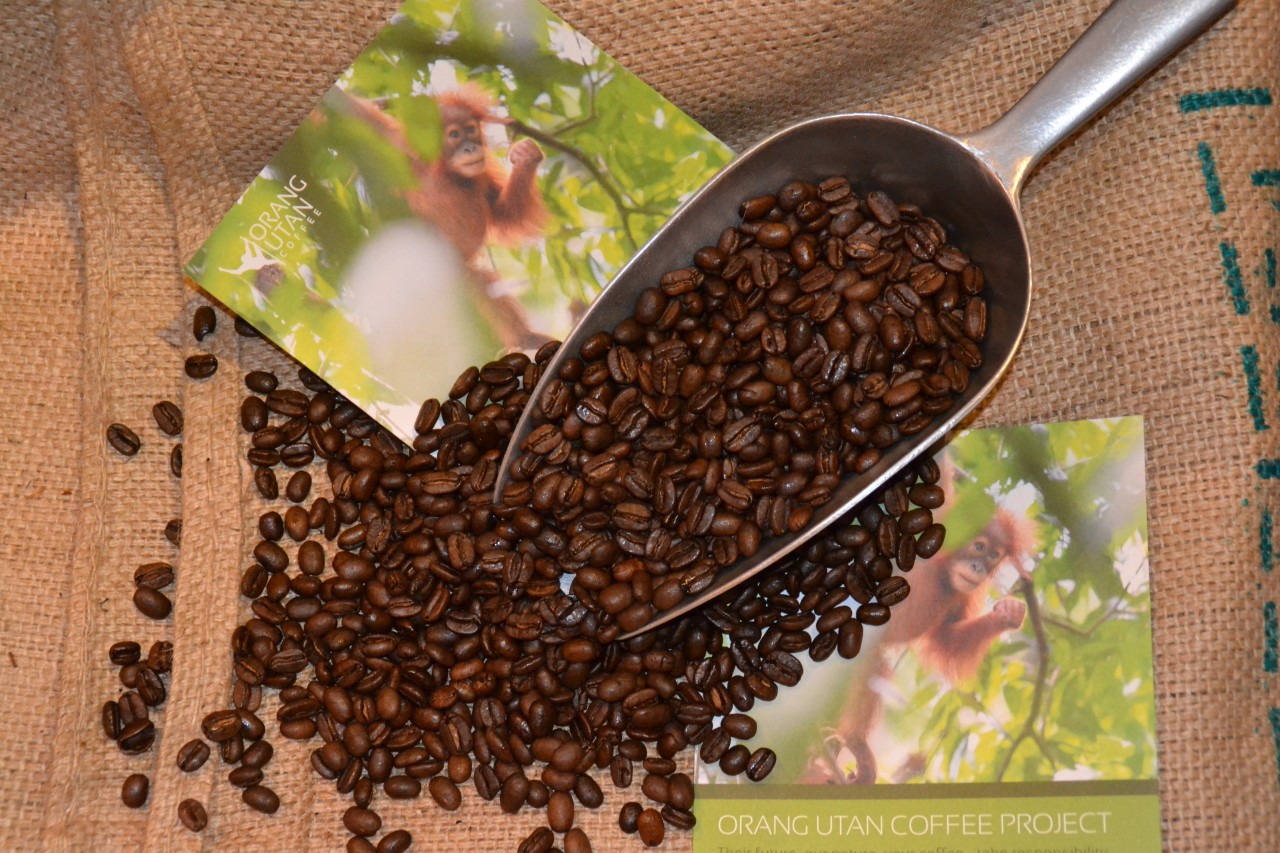 Espresso Orang Utan