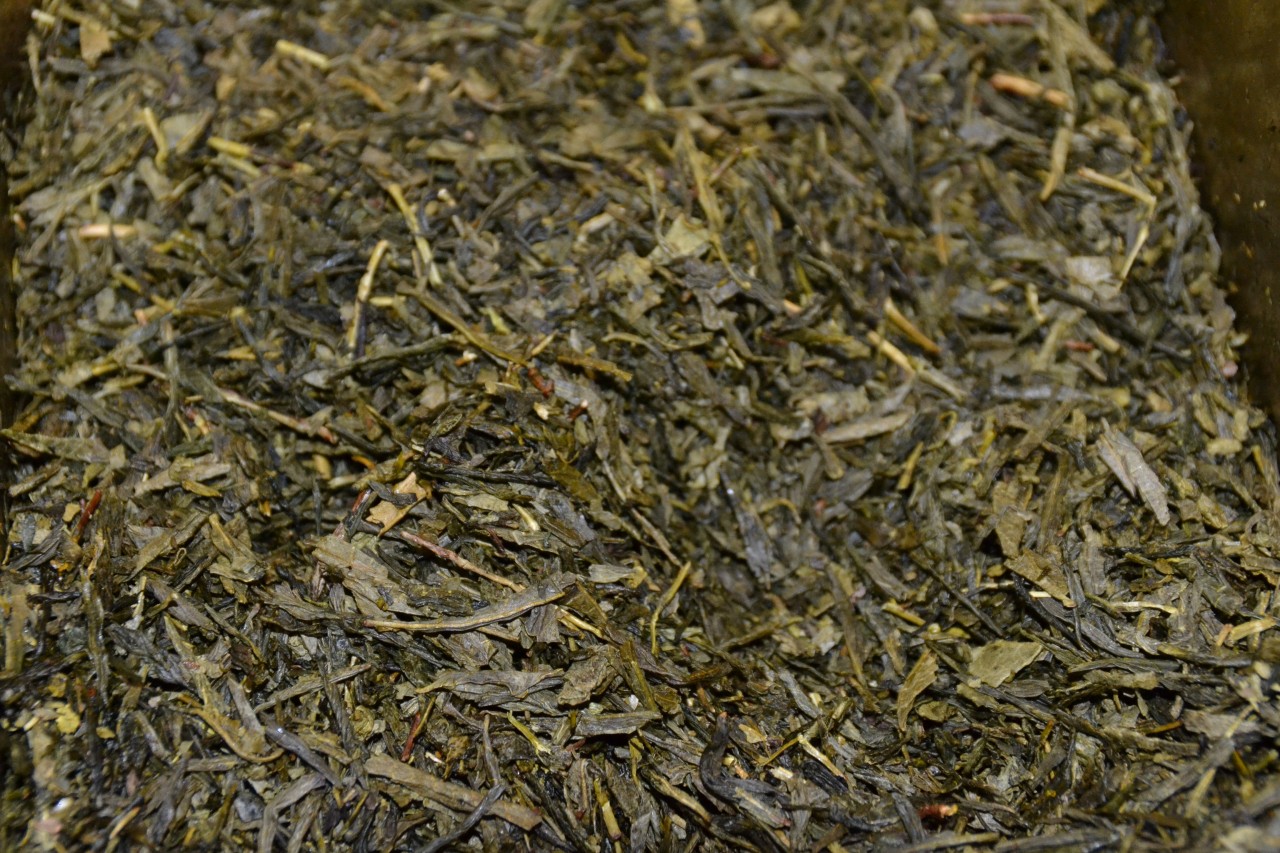 Sencha Apfel-Zimt