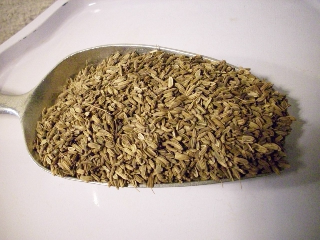 Fenchel