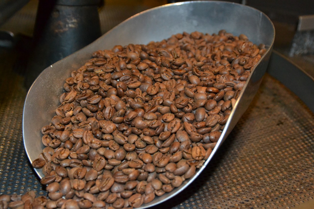 Kaffee Dominikanische Republik